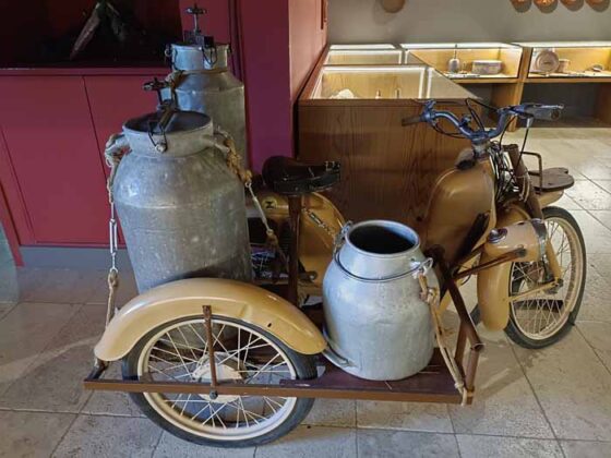 Caseificio Vannulo di Capaccio 12