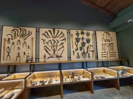 Caseificio Vannulo di Capaccio 14