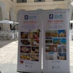 Diocesano Talk Alici nel paese delle meraviglie 01