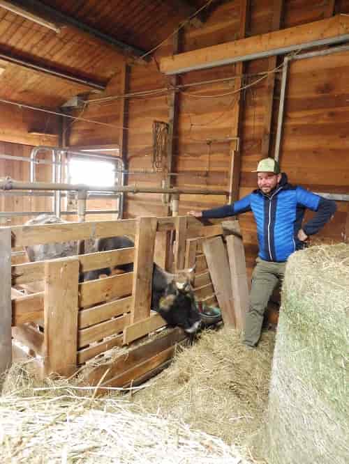 Jurgen Pardeller in stalla