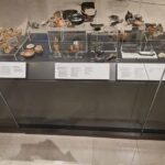 Museo Archeologico Paestum 12