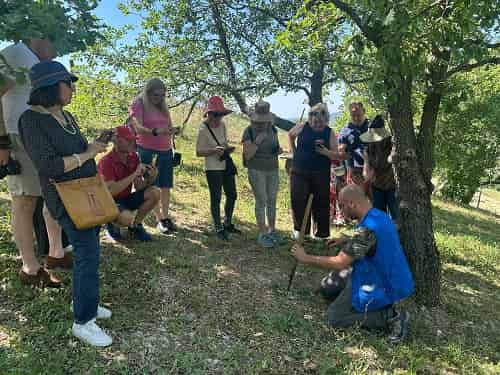 Press Tour Truffle Experience