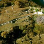 Valtellina Sforzato Wine Festival Tirano terrazzamenti Eroico Rosso