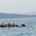 13 Sardegna Nord Est Isola Rossa