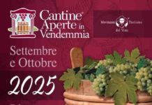 Cantine Aperte in Vendemmia: dal vigneto alla tavola Cantine Aperte in Vendemmia