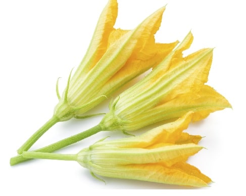 Fior di zucca Borsa della Spesa per agosto: