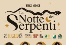 La notte dei serpenti 2025