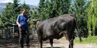 Piano vaccinale Valle d’Aosta