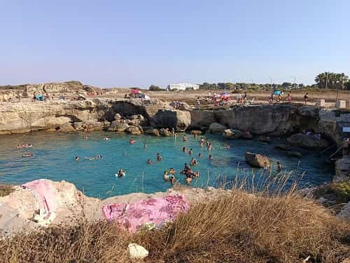 Roca portulignu Roca portulignu