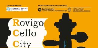 Rovigo Cello City 2025