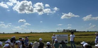 Eu-Rice Research Network