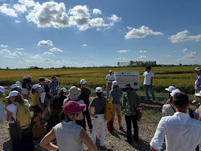 Eu-Rice Research Network Eu-Rice Research Network