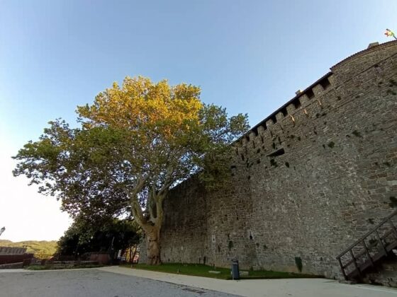 Gorizia award Castello 01
