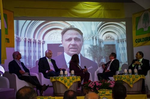 Ministro Lollobrigida
