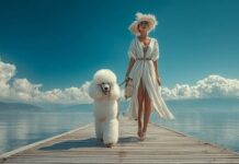 Only For Pet Lovers al Lago di Garda