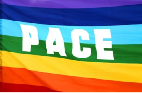 PACE Osare la Pace