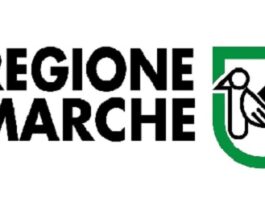 Elezioni Marche 2025
