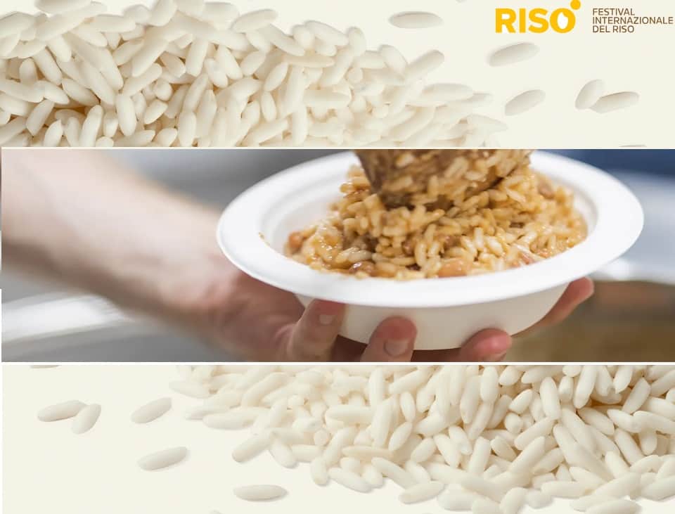 Rise Kids Festival del riso di Vercelli