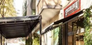 Succulenta Milano
