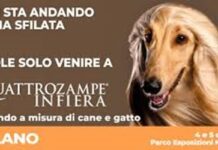 Quattrozampeinfiera Milano 2025
