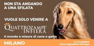 Quattrozampeinfiera Milano 2025