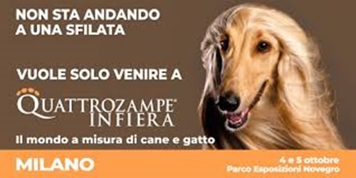 Quattrozampeinfiera Milano 2025
