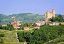 Fiera del vino e del tartufo Ricaldone