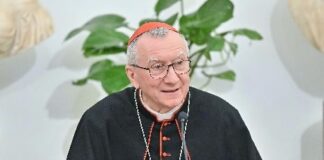 Bene cardinale Pietro Parolin