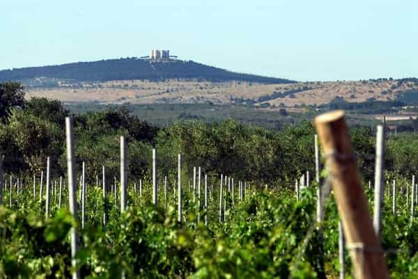 Podere