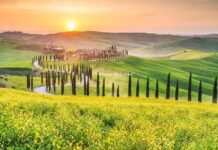 Mostra del Tartufo San Miniato