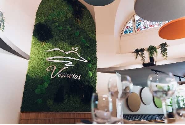 Vesuvius interno
