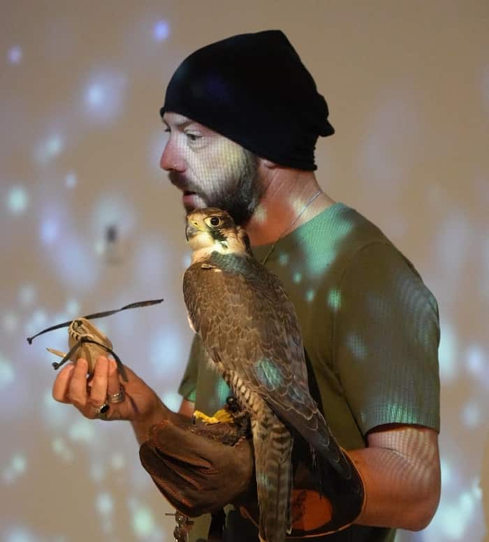 Falconiere con falcone Exploring Federico 