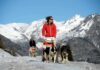 8. DOG SLEDDING - inverno in Valtellina