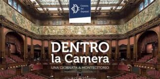 Attività parlamentare 2025