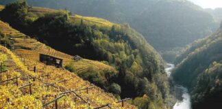 Paesaggi Rurali di Interesse Storico