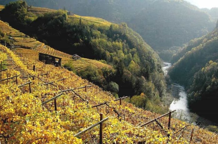 Paesaggi Rurali di Interesse Storico