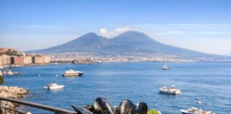 Cozza IGP Campana del Mar Tirreno