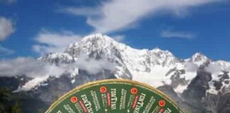 Nuovo disciplinare Fontina DOP