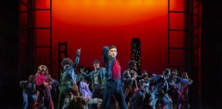 La Febbre Del Sabato Sera IL Musical