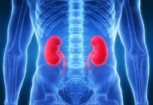 Reni - Giornata Mondiale del Rene