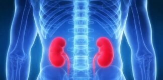 Reni - Giornata Mondiale del Rene