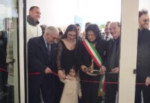 Hibiscus Medica Comiso