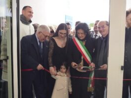 Hibiscus Medica Comiso