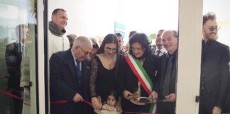 Hibiscus Medica Comiso