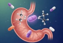 ipp inibitori di pompa protonica