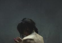 La Vegetariana di Han Kang