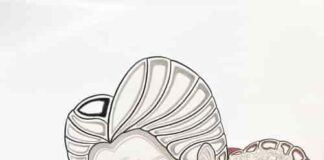 Dracula e Mina mostra