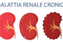Malattia renale cronica