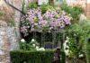 Palazzo Fauzone fiori: relais sboccia a Mondovì Palazzo Fauzone fiori