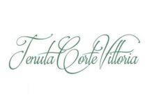 LOVE IS IN THE AIR: sogno alta quota tra emozioni e bellezza LOVE IS IN THE AIR